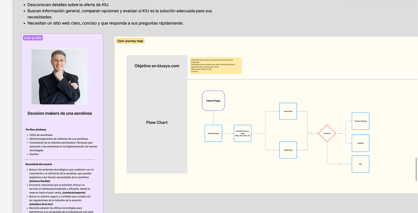 KIU Systems website personas